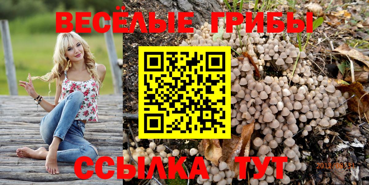 закладки  Вход с VPN  Малоярославец  Галлюциногенные грибы мухоморы 